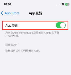 日喀则苹果15维修中心如何让iPhone15APP自动更新