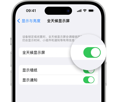 日喀则苹果15预约维修分享iPhone15如何设置全天候显示屏幕可见 