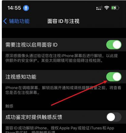 日喀则苹果14维修网点分享iPhone14注视感知功能有什么用 